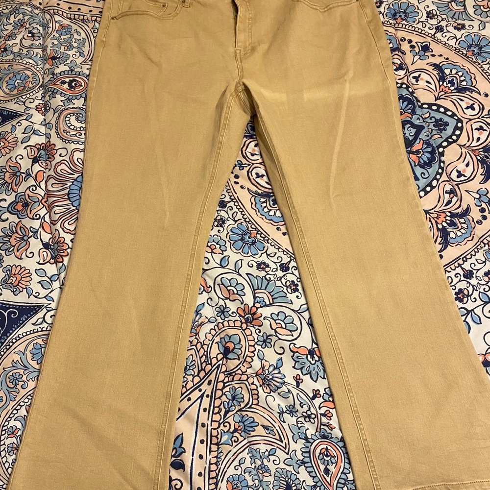 BRAND NEW Time & Tru Khakis